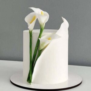 The Unveiling Lily
